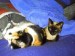 Thumbs/tn_BILD0105 klein.jpg